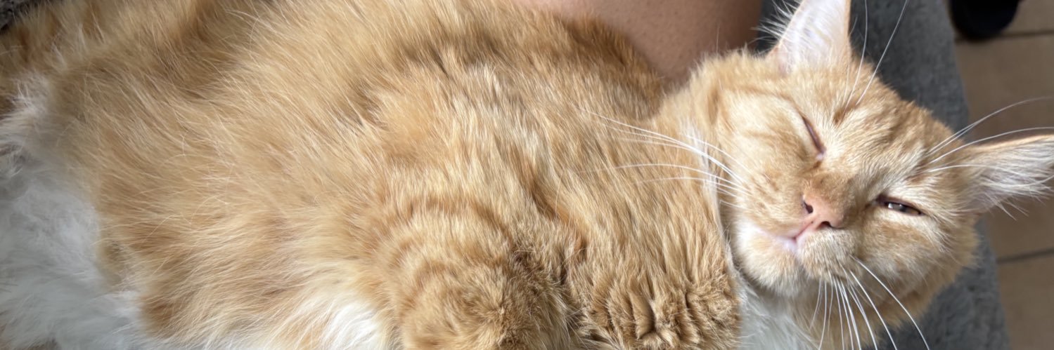 liliceem's profile banner image
