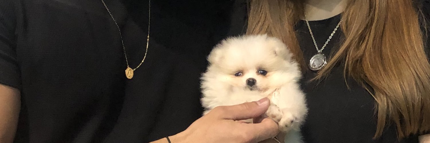 BBBdaLu's profile banner image