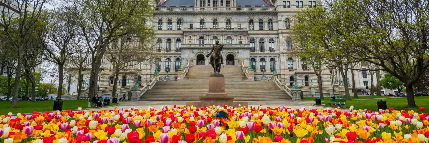 Reinvent Albany's banner