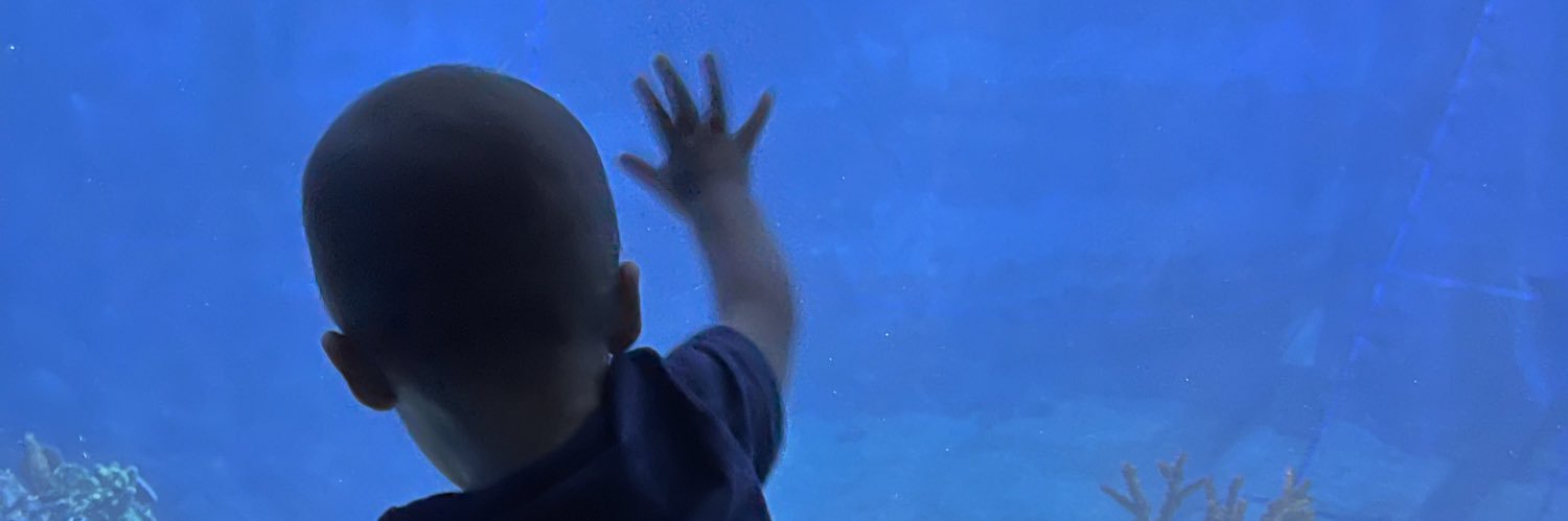 Shelbycfox's profile banner image