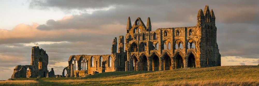 Michael Knight banner