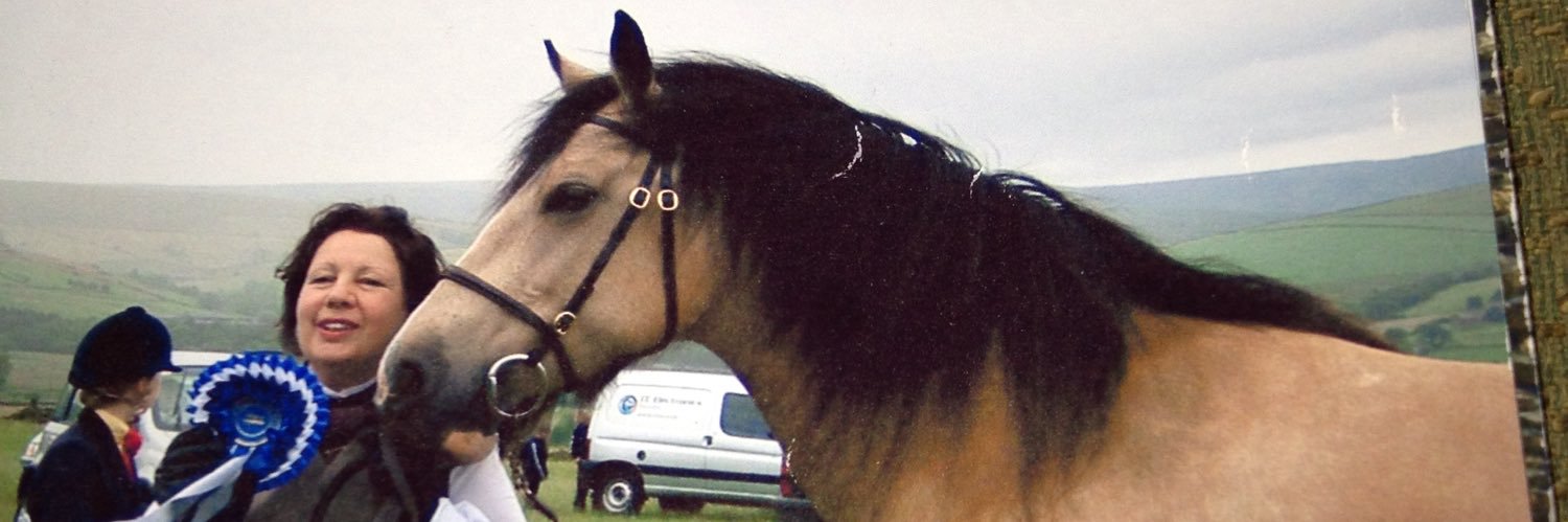 Beakelsand⚓️🛥 banner