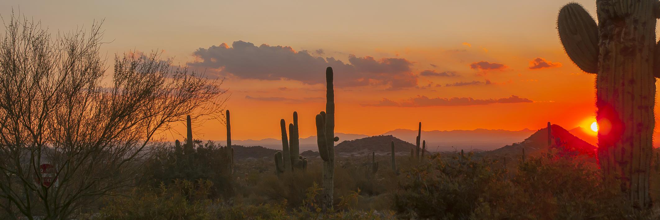 AZDesertEstates's profile banner image