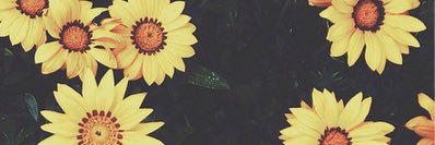 _babyshak's profile banner image
