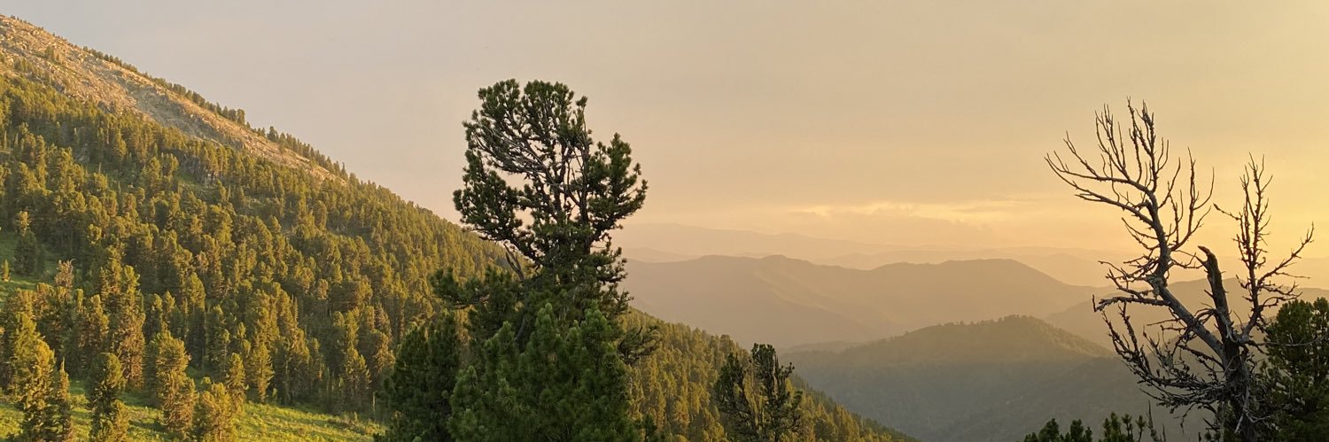 Kristyushach's profile banner image