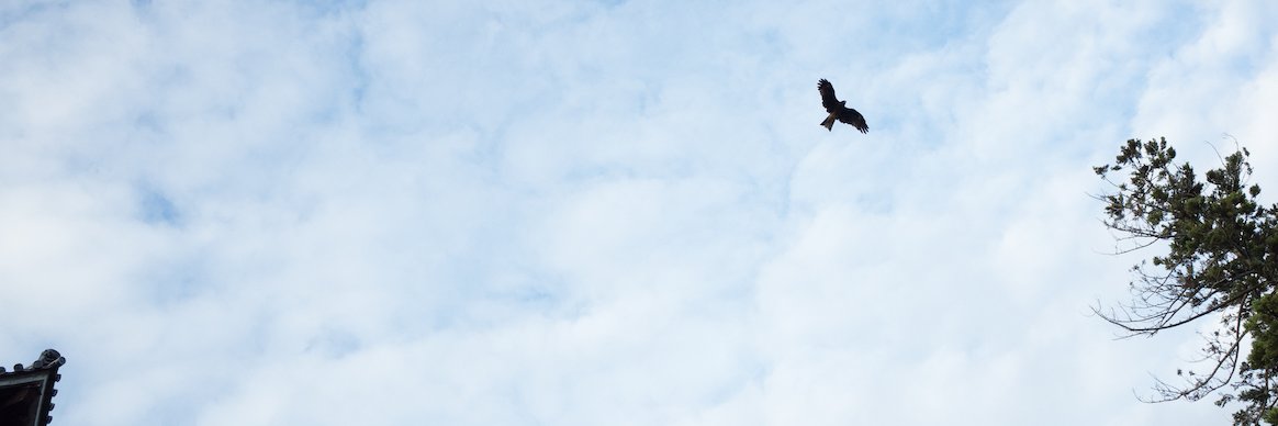 jccss's profile banner image