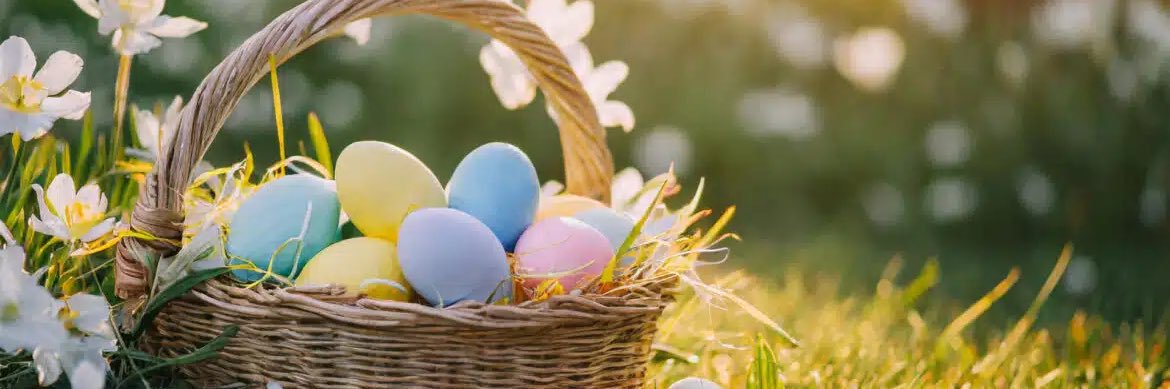 Monique Martin banner