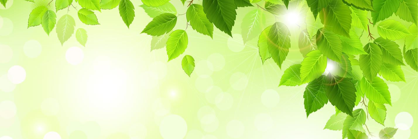 OpenCampusHullUni banner