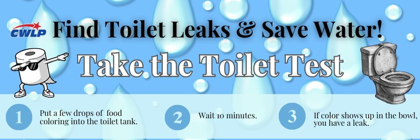 CWLP, the Municipal Utility for Springfield, Ill. banner