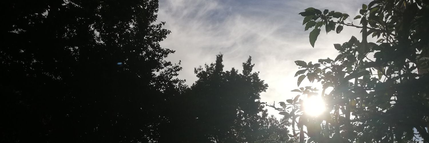 Candace_Fortune's profile banner image