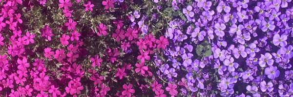 NaceySusan Profile Banner