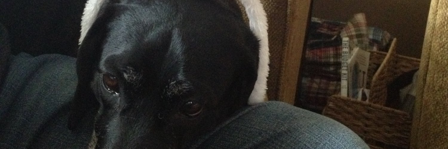coparob's profile banner image