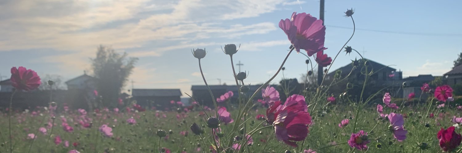 akyu0908's profile banner image