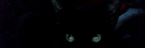 PandaontheDM's profile banner image