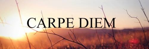 🏳️‍🌈 🇨🇱Juan Fco.🌳 banner