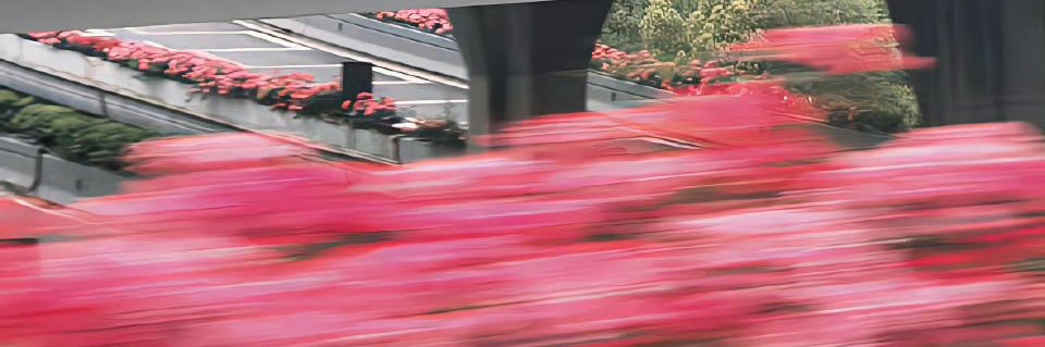 霧 banner