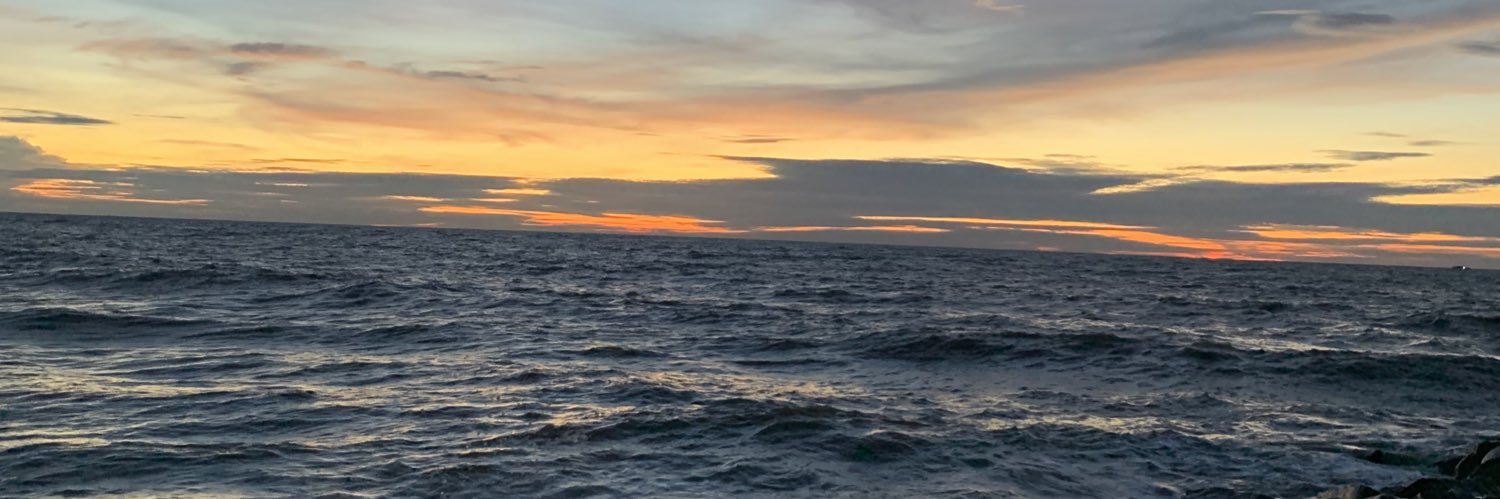 vilexsha's profile banner image