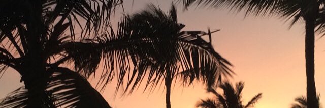 MaggieHaight's profile banner image