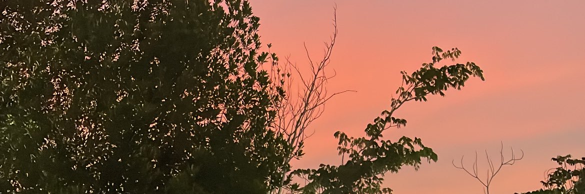 lunalocalsskin's profile banner image
