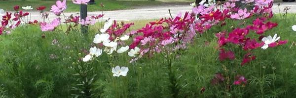 leanna_cmd Profile Banner