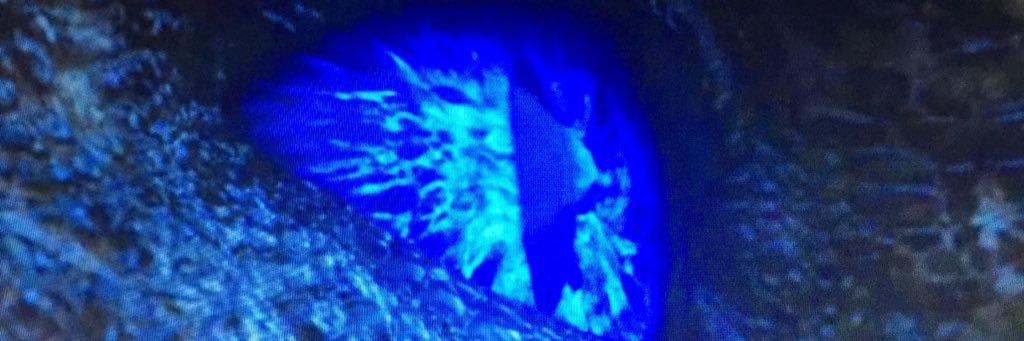 Mr_LewisRoberts's profile banner image