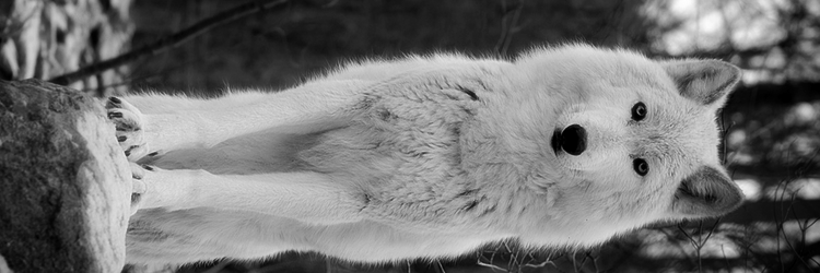 Manuelete_'s profile banner image
