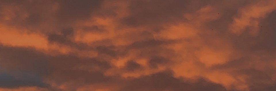 Olita banner