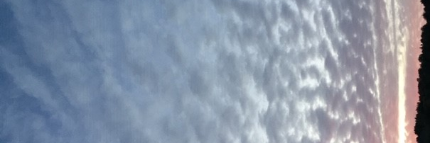 Brett Marion banner