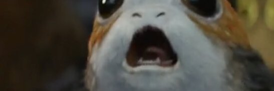MichaelBFerry's profile banner image