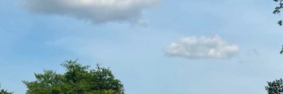 ตัวบี . * . banner