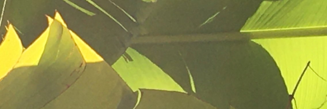 Balmours's profile banner image
