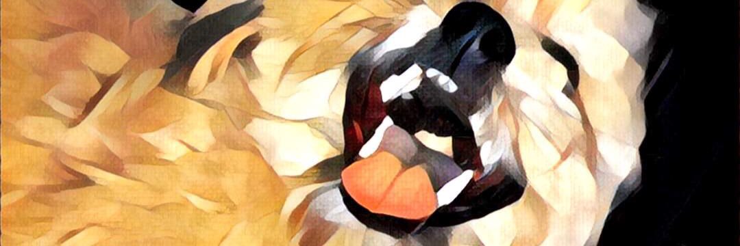 maedojj's profile banner image