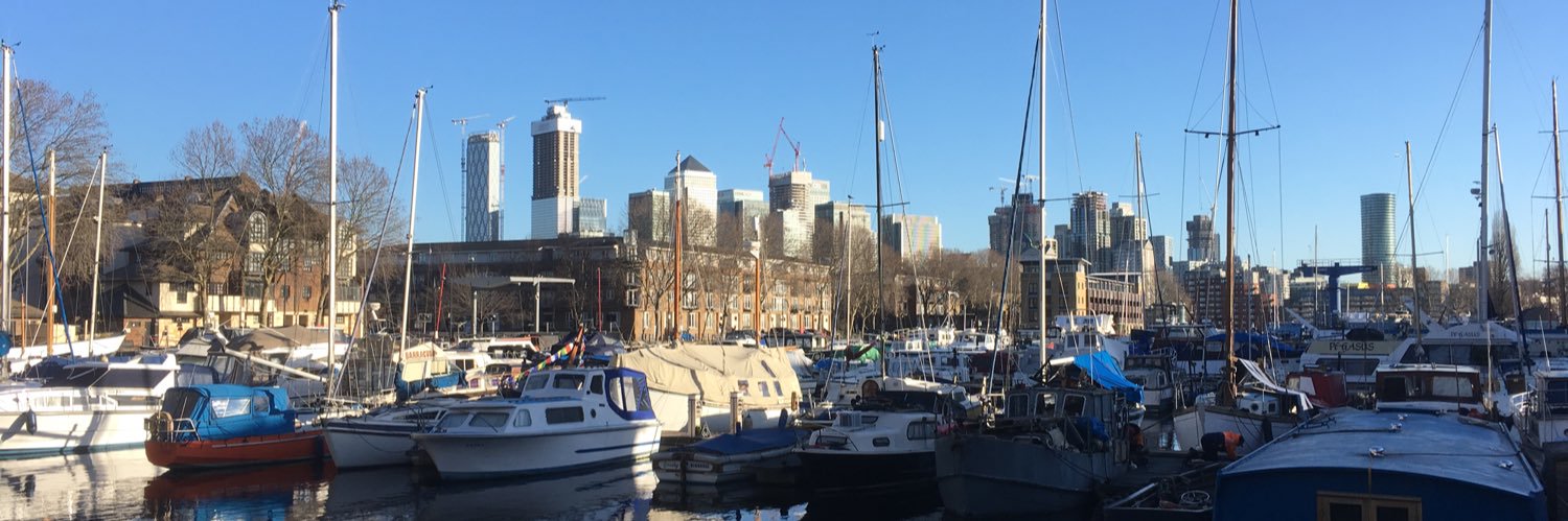 Surrey Docks Liberal Democrats banner