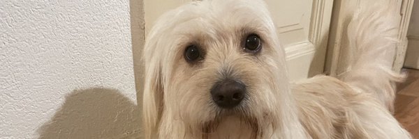 Aleksandra_Geor Profile Banner