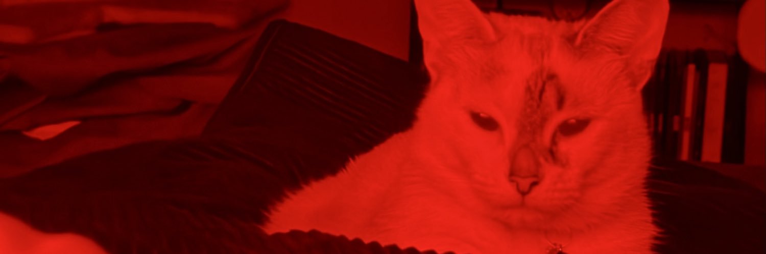 ꧁ 𝗺𝗮𝘅 & jerico ꧂ banner