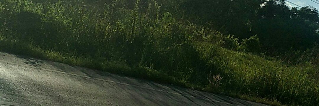 TheCommondayka's profile banner image