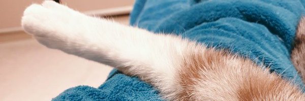 snekblaster Profile Banner