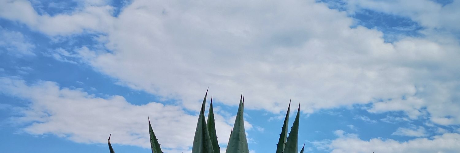 eder_ulises's profile banner image