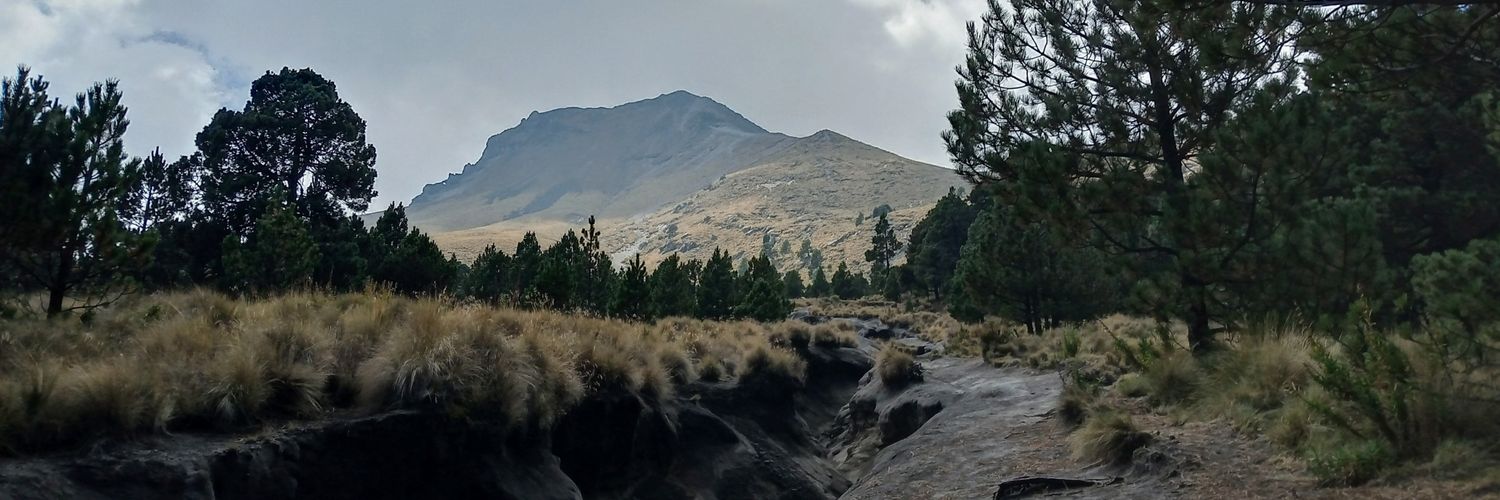 Efrén Ramírez banner