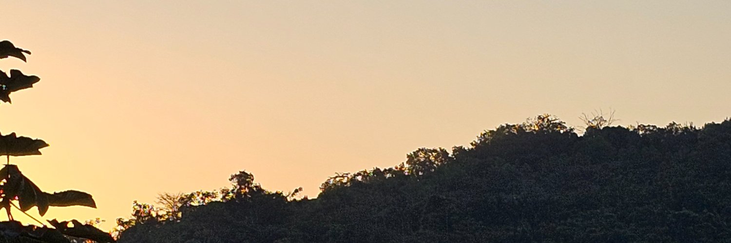 Josefina Gómez banner