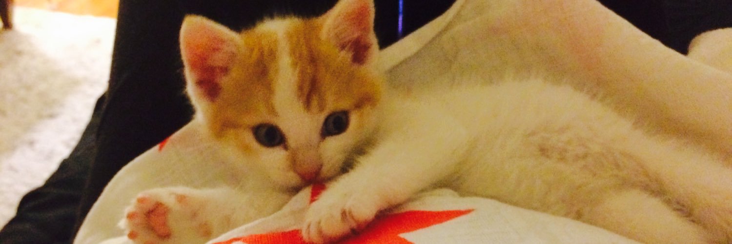 MinYoongMeows's profile banner image