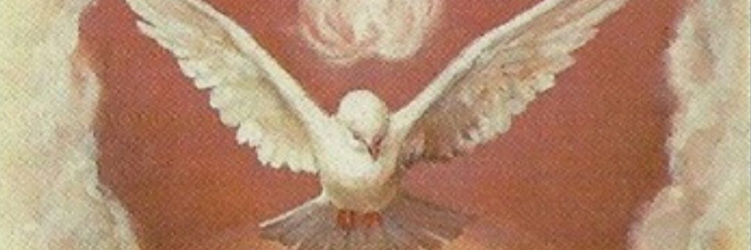 LafleurSheila's profile banner image