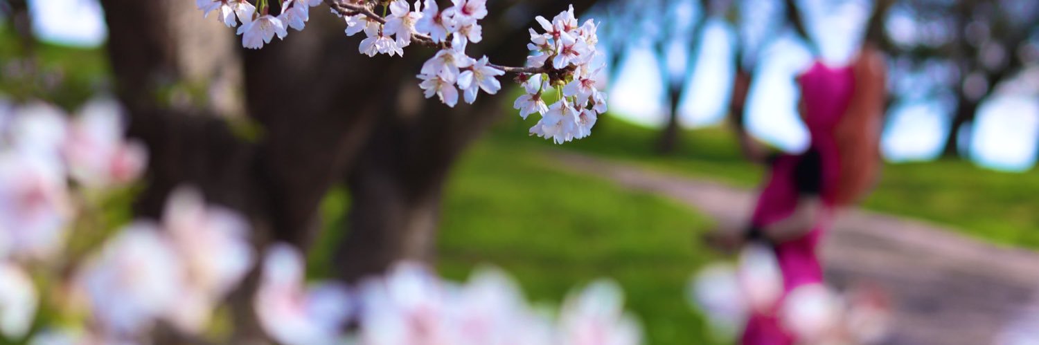 mio946's profile banner image