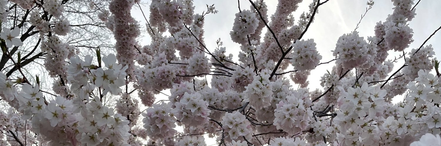 emwillli247's profile banner image