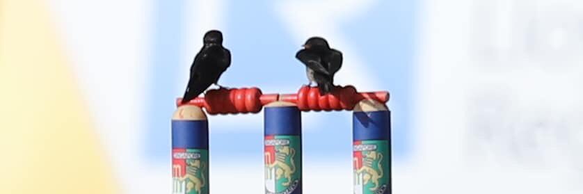 maneshmuralee's profile banner image