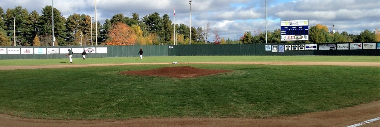 UNB Reds Baseball banner