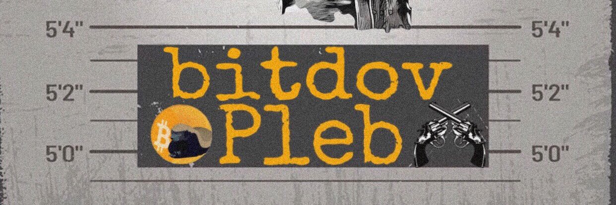 ₿it⚡️Dov's banner