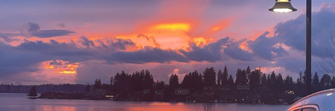 thomp_taylor's profile banner image