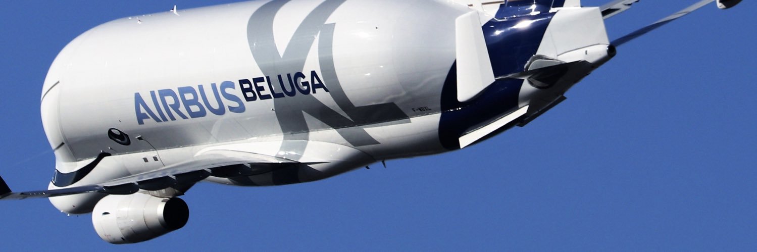 XlBeluga's profile banner image