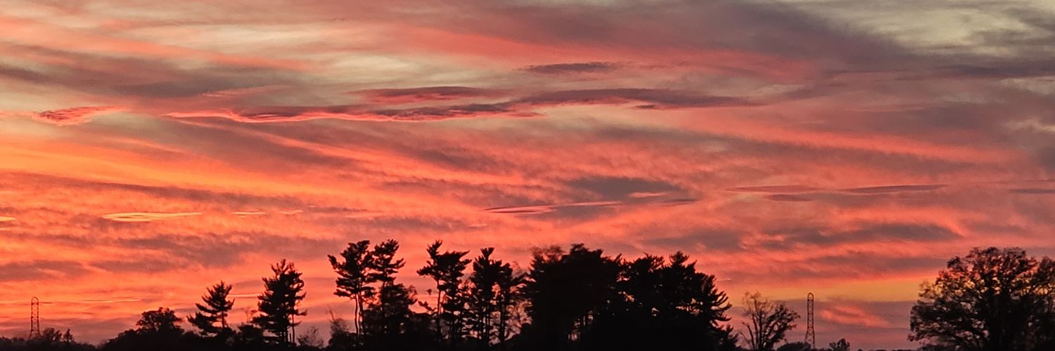 RealityNotFiction banner